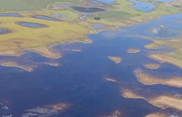 La Provincia declaró la emergencia agropecuaria en diez municipios