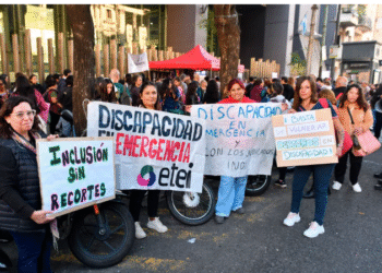 Revés para el Gobierno: la Justicia declaró inválido el veto a la Ley de Emergencia en Discapacidad