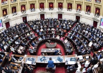 Diputados rechaza vetos presidenciales y ratifica financiamiento para el Garrahan y las universidades