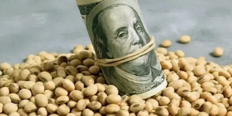 Retenciones en cero: el agro vendió granos por USD 4.200 millones en un día y ya alcanza el 60 % del tope fijado