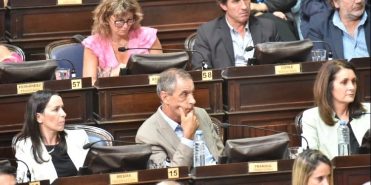 Alerta por la derogación de la Ley de Paridad: “Es un ataque a la democracia”