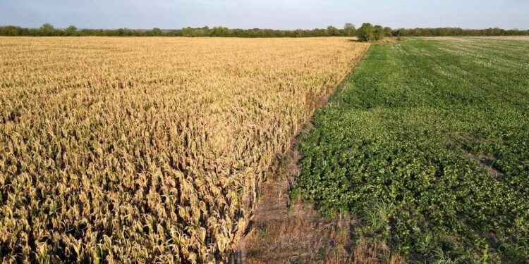 Referentes del campo argentino destacaron la baja de las retenciones por parte del Gobierno