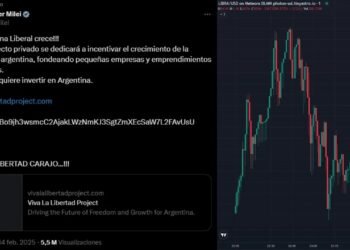 Javier Milei recomendó un controvertido activo digital en X, se disparó a la estratósfera y a la hora se desplomó