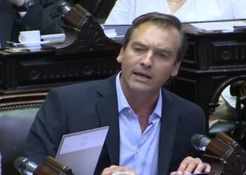 “Yo te dejé hablar, falopa”: Martín Soria, chicaneó a una diputada libertaria y la vinculó con el narcotráfico