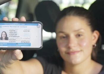 Ley de Tránsito: el gobierno oficializó cambios en la licencia de conducir, VTV y peajes