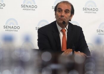 Tras la derrota en el Senado, el juez Ramos Padilla ordenó que García Mansilla no firme más fallos