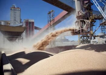 Aceiteras y cerealeras advirtieron que las medidas de Trump desatarán una “guerra comercial”