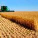 Desde el 1° de julio, suben retenciones a la soja y al maíz, mientras se mantienen reducidas las del trigo y la cebada