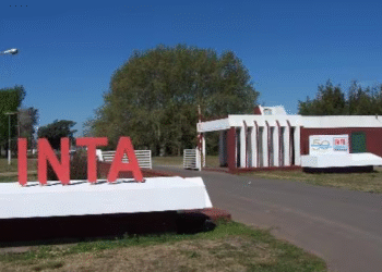 onfirman retiros voluntarios y subasta de bienes en el INTA