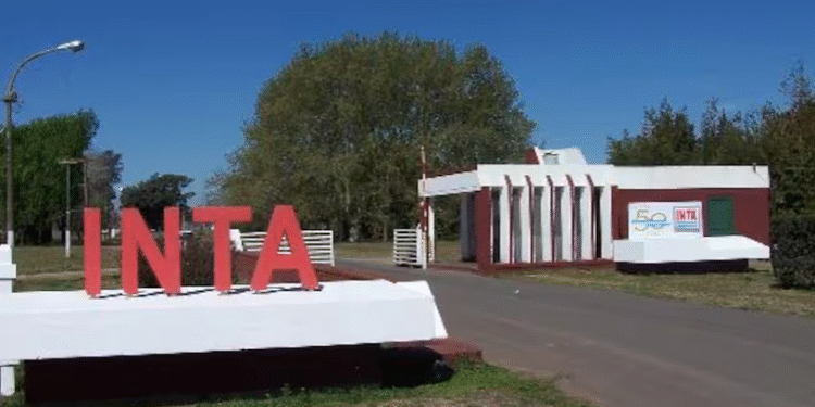onfirman retiros voluntarios y subasta de bienes en el INTA