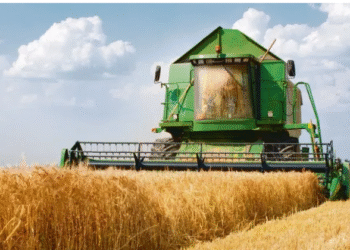 En medio de la tensión cambiaria, se agotan los dólares de la cosecha gruesa y se busca reforzar reservas