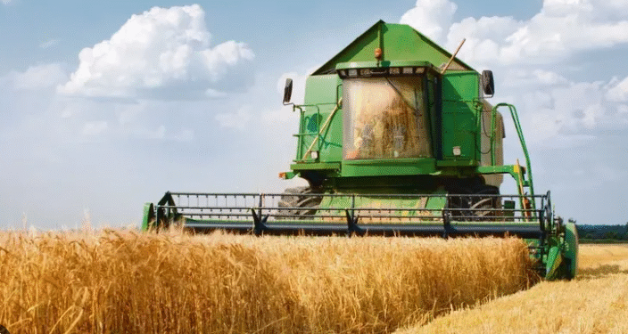 En medio de la tensión cambiaria, se agotan los dólares de la cosecha gruesa y se busca reforzar reservas