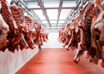 Una referente histórica del agro será la nueva directora del Senasa