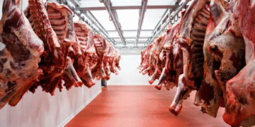 Una referente histórica del agro será la nueva directora del Senasa