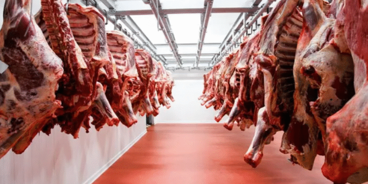 Una referente histórica del agro será la nueva directora del Senasa