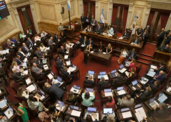 El Senado reactivará la emergencia en discapacidad, pero estalló una disputa interna por el temario
