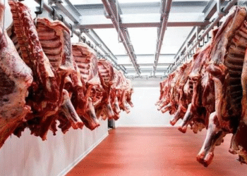 Brasil aprovecha sus filiales argentinas para zafar de los super aranceles que le puso Trump en Estados Unidos