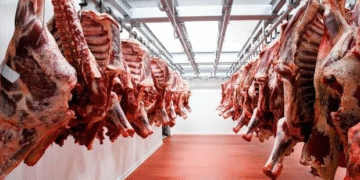 Brasil aprovecha sus filiales argentinas para zafar de los super aranceles que le puso Trump en Estados Unidos