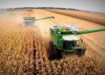 Productores valoran la baja de retenciones pero advierten que la rentabilidad del agro sigue ajustada