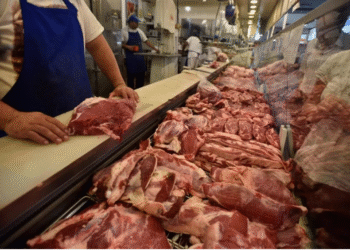 Crece el consumo de carne vacuna y vuelve a superar los 50 kilos per cápita