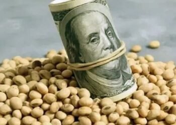 Retenciones en cero: el agro vendió granos por USD 4.200 millones en un día y ya alcanza el 60 % del tope fijado