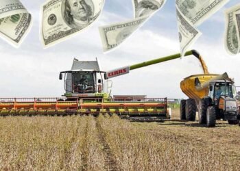 El Gobierno amplió la suspensión de retenciones también a carnes bovinas y avícolas